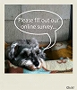Please fill out our online survey. <br>アンケートにご協力下さい